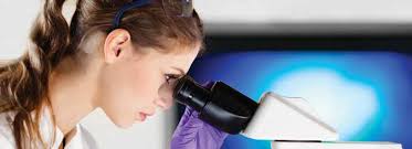 WE PREDICT WE PREVENT WE PROTECT