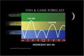 41 correct deer hunting solunar chart