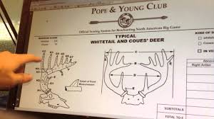 How To Score A Whitetail Deer