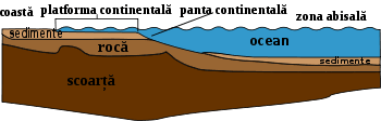 PlatformÄƒ ContinentalÄƒ Wikipedia