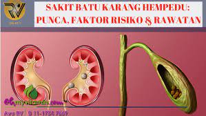 Penyakit batu ginjal, batu karang, batu empedu, dapat di sembuhkan tanpa. Rawat Batu Karang Hempedu Ketahui Punca Faktor Risiko Dan Cara Rawat Coach Bisnes Coach Detox Kurus Coach Penyusuan Susu Ibu Mentor Bisnes Pengedar Shaklee Pengedar Youth Pengedar Vivix 011 17547669