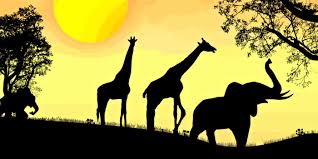 Check spelling or type a new query. Life S Greatest Adventure Your First African Safari The Big Five