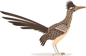 Bird Clipart Clipart - roadrunner-bird-animal-clipart - Classroom Clipart