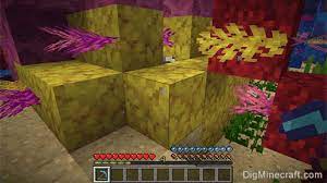 We did not find results for: How To Make A Horn Coral Block In Minecraft