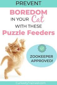 We did not find results for: Interactive Cat Puzzle Toys To Prevent Boredom Zookeeper Approved