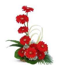 Buy Red Gerberas Basket Arrangement Flower Gift Online Best Prices In India Online Flower Shop Flower Delivery Online Flower Delivery