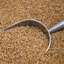 Spelt Grain Buy Whole Foods In Bulk Organic Food For Organic Delivery Melbourne