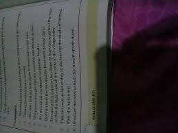 Soal bahasa indonesia kelas 9. Kunci Jawaban Bahasa Inggris Kelas 9 Hal 138 Paragraf 5 Dan Terjemahnnya Brainly Co Id