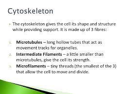 The study of cells is called cell biology, cellular biology, or cytology. Animal Cellplant Cell Belonging To Both Plant And Animal Cells Ppt Download