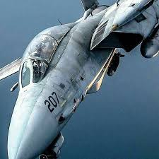 f 14 tomcat any requests suggestions follow my friends full afterburner daniel tarrant m3xhuani military scenes globalmilitarya 航空写真