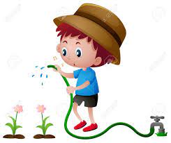We did not find results for: Boy Watering Plants With Hose Illustration Royalty Free Cliparts Vectors And Stock Illustration Image 66895445