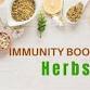 8 Herbs That  Support The  Immune System event image