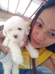 Introduction to NASA Explore The Universe Admin Team