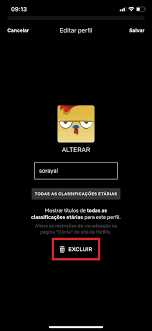 aprenda a excluir um perfil da netflix pelo celular ou computador 33giga