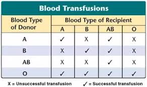 why can type ab blood accept blood from a and b type while