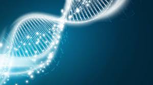And could it pose a threat to the success of a future vaccine? Virus Fighter May Have Played A Key Role In Human Evolution Science Aaas