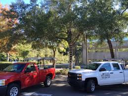 We operate with respect for nature, our ipm prevention methods and organic materials are implemented to ensure a healthy and safe. Rh Miller Pest Services 137 Concord Dr Casselberry Fl Pest Control Mapquest