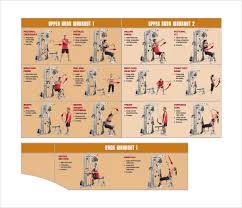 upper body trx exercises pdf