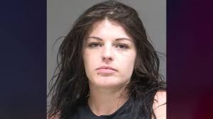 Florida woman allegedly bit off teen's ear during house party fight