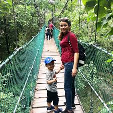 I visited in dec 2019 when it was still free to enter. Kl Forest Eco Park Bukit Nanas 3 Best Park In Kuala Lumpur