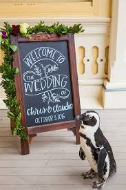 Claudia Chris Maryland Zoo Wedding Chalkboard Signs Wedding Welcome Signs Wedding Chalk