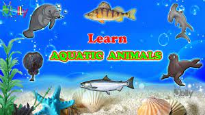 Learn Water Animals For Kids In English Aquatic Animals Names With Pictures Sea Animals Jollyplanet Youtube