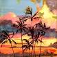 Paint Nite: Island Palms event image
