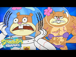 Sandy Squirrel Stickers For Sale | Redbubble