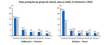 Notiunrea de somaj provine de la cuvantul chomage din limba franceza, la randul sau preluat din limba greaca cauma care insemna caldura mare din cauza carei. Ins Rata Somajului A Fost De 4 1 In Trimestrul I Cel Mai Ridicat Nivel De 15 6 In Randul Tinerilor Agerpres ActualizeazÄ Lumea