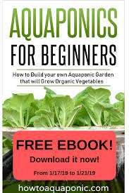 Free Until Jan 21st Aquaponics Growing Organic Vegetables Aquaponics Greenhouse