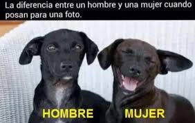 memes #chistes #humor #divertido #bromas #chistoso
