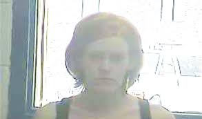 Blackberry Festival History