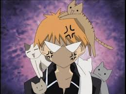 Fruits Basket Anime Series Review Fruits Basket Anime Fruits Basket Manga Anime