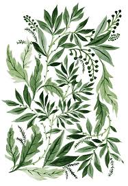 art おしゃれまとめの人気アイデア pinterest gyulya karagyozova 植物イラスト 花 イラスト 葉 イラスト