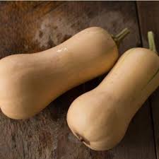 Check spelling or type a new query. Butterscotch Winter Squash F1 Hybrid 100 Days