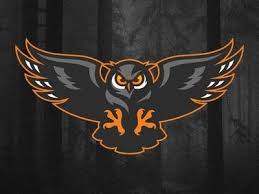 Gambar gambar keren by alfathi akbar gaming. 25 Gambar Burung Garuda Keren 3d Atlantes Owl Logo Esports Logo Bird Logos Download Jual Baju Kaos Tshirt Keren Kaos P Logo Hewan Burung Hantu Creative Logo