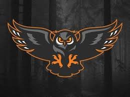 Download dan gunakan 60+ mentahan logo squad ml ini gratis. Halaman Download 25 Gambar Burung Garuda Keren 3d Atlantes Owl Logo Esports L