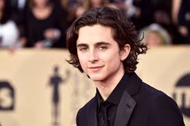 How he learned to stop worrying and love his king haircut. A Tiktok Makeup Artist Transformed Themselves Into Timothee Chalamet