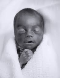 Davion Malik Harrison, Jr.