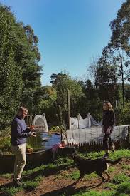 People. Place. Ferndale.