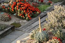 Sports & recreation lodging & dining arts yakima valley favorites home and garden events. Home