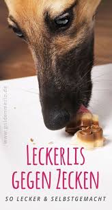 So Lecker Einfach Selbstgemacht Leckerlis Gegen Zecken Aus Hochwirksamen Zutaten Einfach Selber Machen Ohne Backen D Zecken Hundeleckerli Zecken Hund