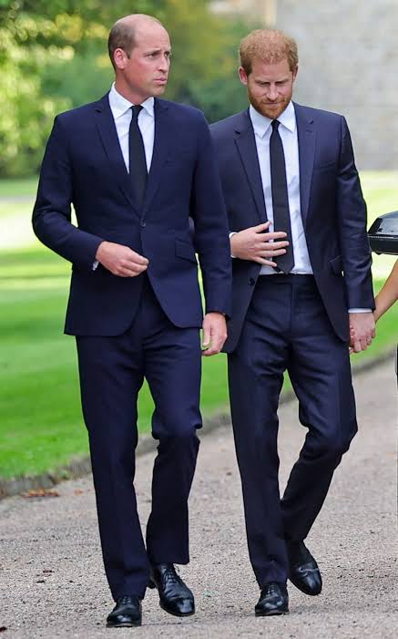 Prince Harry's visit with King Charles III, absence of Prince William  sparks reconciliation questions - ABC News