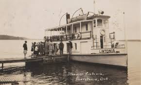 Image result for Lintonia