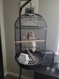 Yml Round Black Bird Cage Small Petco Black Bird Cage Small Bird Cage Bird Cage