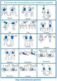 Programme de musculation à domicile avec haltère pour homme et femme (full body, push pull leg, split, half body). Epingle Sur Sport