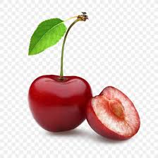 The barbados cherry, a member of the malpighiaceae, is an interesting example of a fruit that rose, like cinderella, from relative obscurity about 40 years ago. Barbados Cherry Auglis Food Png 1024x1024px Cherry Acerola Acerola Family Apple Auglis Download Free