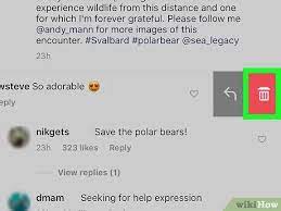 While instagram is a platform built on visual content and virtual connection, now and again, you just might need to remove something entirely. How To Comment And Delete Comments On Instagram Photos 10 Steps