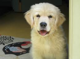 Elizabeth Kline Murphy (@elizabethklinemurphy) • Instagram photos and videos