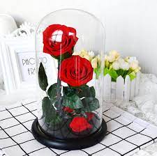 A descriptive paragraph that tells clients how good you are and proves that you are the best choice. Wholesale High Quality Preserved Roses Flower In Glass Box For Globe Roses Buy Preserved Flowers In Glass Preserved Roses Flower Preserved Roses Product On Alibaba Com